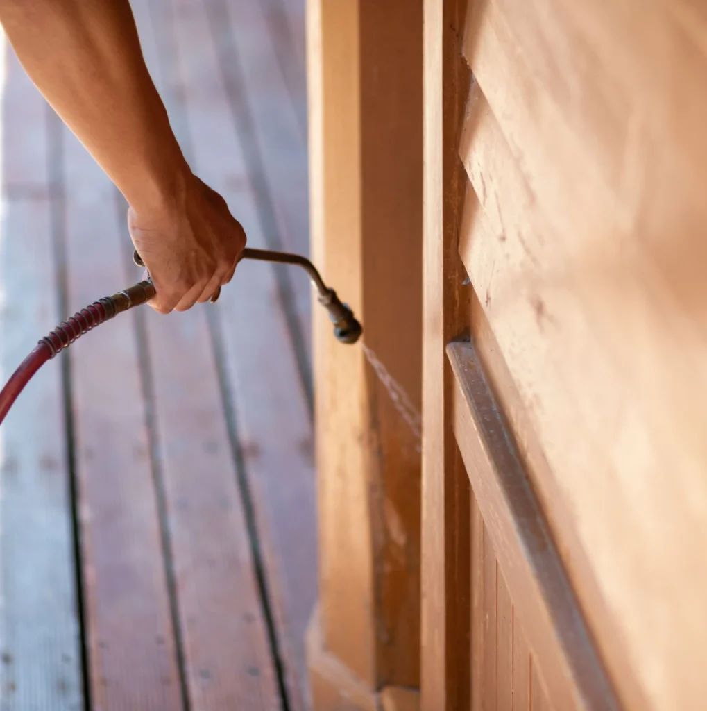 Trusted Pest Control - Middle Village Pest Control Pros | Middle Village, NY | 315-332-9890